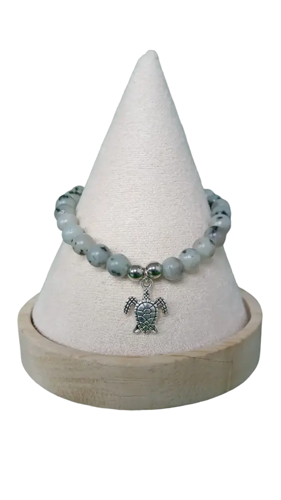 Jaspe kiwi AB - Tortue